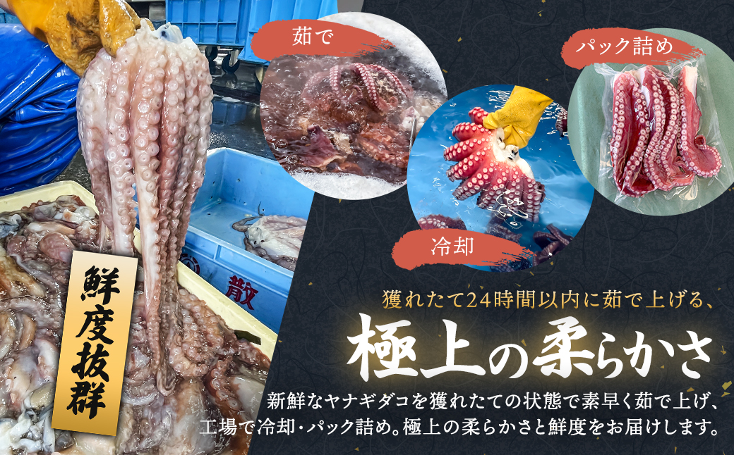 【定期便12ヶ月】ヤナギダコ500g【産地直送】プリプリ食感！釧路町昆布森産 ヤナギダコ｜噛むたびに広がる多幸の旨味 お刺身 鍋 煮物に最適 栄養満点 贈答用 にも最適 漁師直送 鮮度抜群 タコ 蛸 北海道 冷凍 釧路町 釧路超 特産品