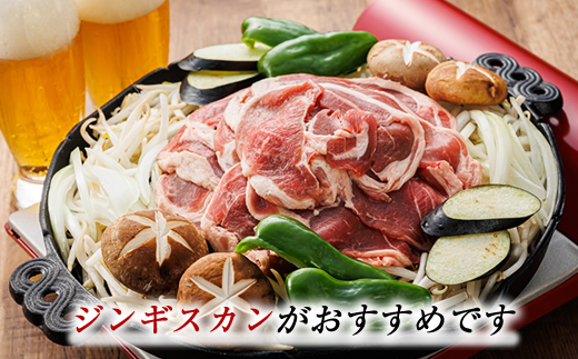 【定期便 9ケ月連続】 羊肉の小分けが嬉しい！ ラムスライス 100g×10パック（合計1kg）| ラム肉 ラムロール ラム串 ラムしゃぶ 羊肉 羊肉ラムしゃぶ 焼肉 焼き肉 bbq アウトドア キャンプ ジビエ ジンギスカン 小分け 北海道 釧路町 牛肉 豚肉 よりヘルシーな羊肉 人気の 訳あり！ ヒロセ ワンストップ オンライン申請 オンライン 申請