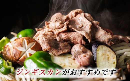 【定期便 12ケ月連続】 羊肉の小分けが嬉しい！ ラムスライス 100g×10パック（合計1kg）| ラム肉 ラムロール ラム串 ラムしゃぶ 羊肉 羊肉ラムしゃぶ 焼肉 焼き肉 bbq アウトドア キャンプ ジビエ ジンギスカン 小分け 北海道 釧路町 牛肉 豚肉 よりヘルシーな羊肉 人気の 訳あり！ ヒロセ ワンストップ オンライン申請 オンライン 申請