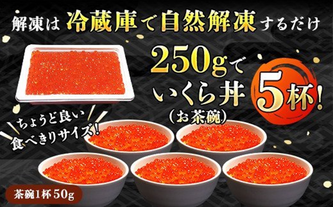 いくら醤油漬け（250g×1箱）北海道産 鮭と味付けにこだわる イクラのプロ おすすめのいくら醤油漬け＜昆布のまち 釧路町＞