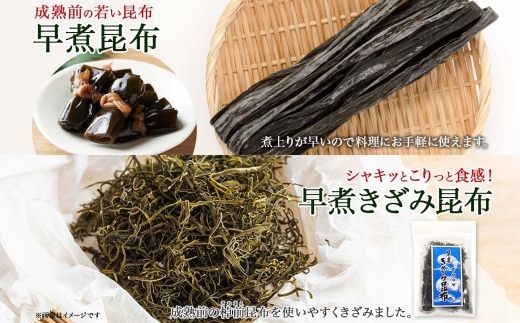 北海道産 昆布 早煮昆布 250g×2袋 早煮きざみ昆布 50g×3袋 計650g 釧路 こんぶ おでん きざみ昆布 おかず コンブ 煮物 詰め合わせ 早煮 保存食 乾物 無地熨斗 熨斗 のし 国産 北連物産  きたれん 北海道 釧路町