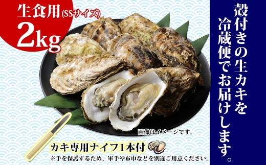殻付き牡蠣 仙極かき SSサイズ 2kg 生食用 かきナイフ付 牡蠣 かき カキ 冷蔵 北海道 釧路町