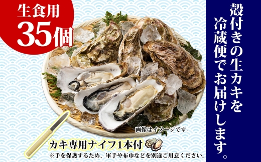 殻付き牡蠣 仙極かき 35個 生食用 かきナイフ付 牡蠣 かき カキ 冷蔵 北海道 釧路町