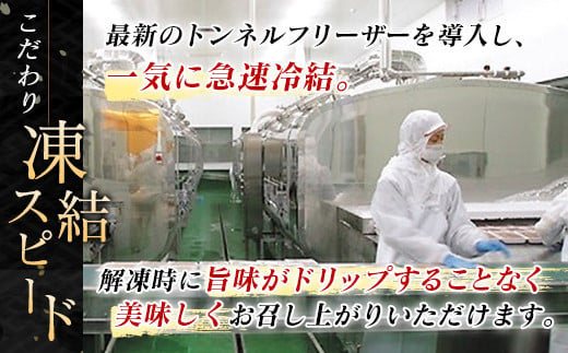 【定期便 6ヶ月連続】いくら醤油漬け 500g ×1箱　| 国産 北海道産 いくら いくら醤油漬 イクラ ikura 天然 鮭 サーモン  鮭卵 鮭いくら 北海道 昆布のまち 釧路町 笹谷商店 直営 釧之助本店 人気の 訳あり！  父親の日 ご飯 米 無洗米 にも最適