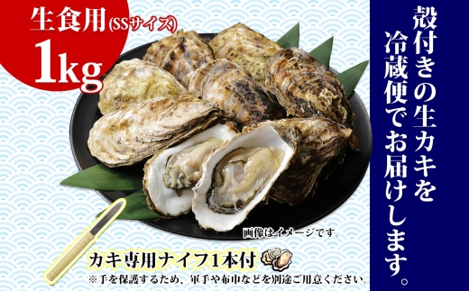 殻付き牡蠣 仙極かき SSサイズ 1kg 生食用 かきナイフ付 牡蠣 かき カキ 冷蔵 北海道 釧路町