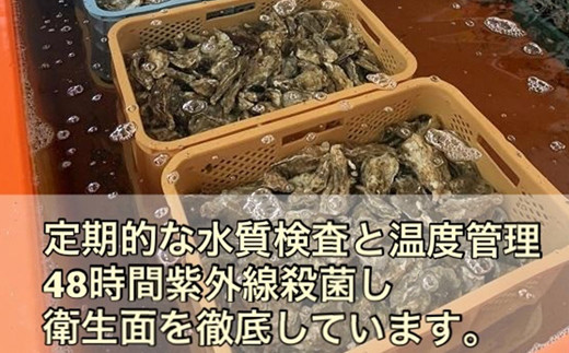 北海道 仙鳳趾産 牡蠣 100g〜149g×30コ＋かきナイフ付きかき漁師直送