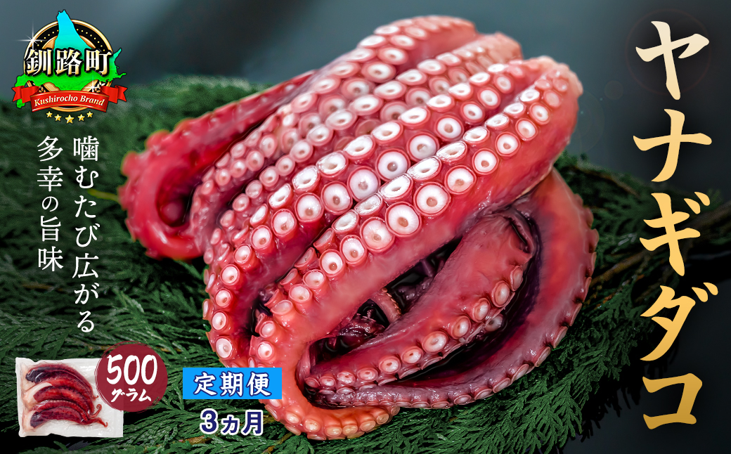 【定期便3ヶ月】ヤナギダコ500g【産地直送】プリプリ食感！釧路町昆布森産 ヤナギダコ｜噛むたびに広がる多幸の旨味 お刺身 鍋 煮物に最適 栄養満点 贈答用 にも最適 漁師直送 鮮度抜群 タコ 蛸 北海道 冷凍 釧路町 釧路超 特産品