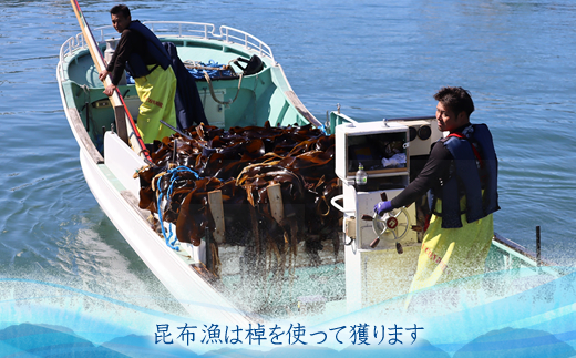 雑海藻から海を守り、日本の食文化である昆布の漁場の再生支援寄附 ＜１口 100,000円 より＞ | 返礼品なし 緊急支援 昆布 こんぶ 北海道 釧路町 釧路超 特産品