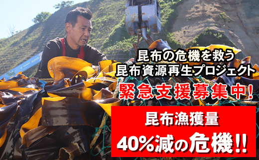 雑海藻から海を守り、日本の食文化である昆布の漁場の再生支援寄附 ＜１口 100,000円 より＞ | 返礼品なし 緊急支援 昆布 こんぶ 北海道 釧路町 釧路超 特産品