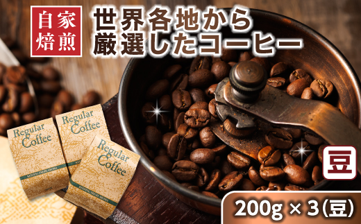 コーヒー セット 200g×3個  豆 | ベンデドール 自家焙煎 コーヒー豆 珈琲豆 珈琲 豆 店主おまかせ プレミアム 年内配送 年内発送 北海道 釧路町 釧路超 特産品