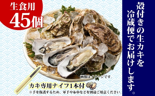 殻付き牡蠣 仙極かき 45個 生食用 かきナイフ付 牡蠣 かき カキ 冷蔵 北海道 釧路町