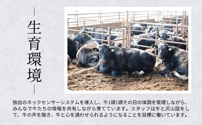 北海道産 星空の黒牛 ウデ肉 すき焼き用 900g すき焼き ブランド牛