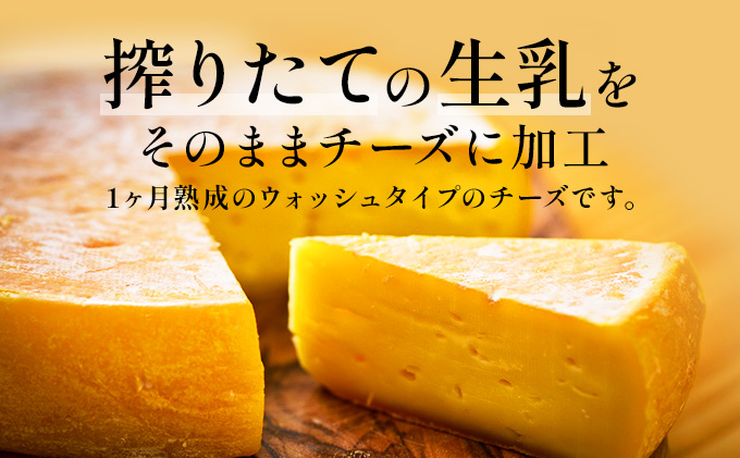 チーズ 北海道産 牧場 自家製 手作り チーズ このみ 500g前後 1ホール 長坂牧場チーズ工房 北海道