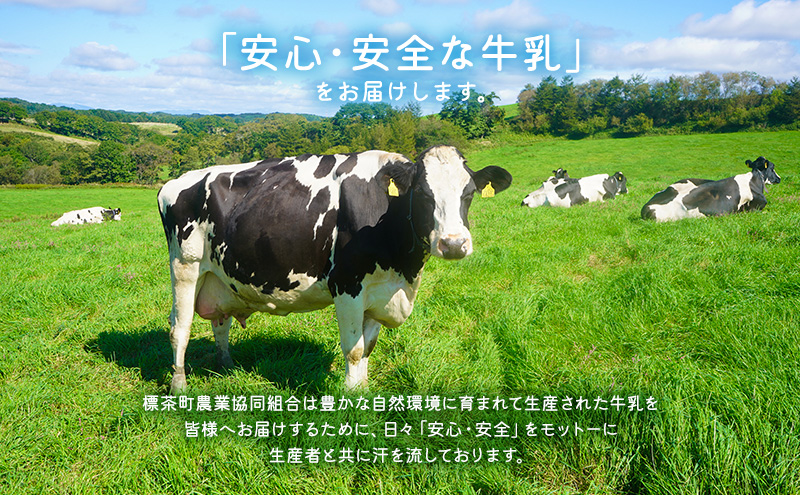 北海道　しべちゃ牛乳（1000ml）×6本