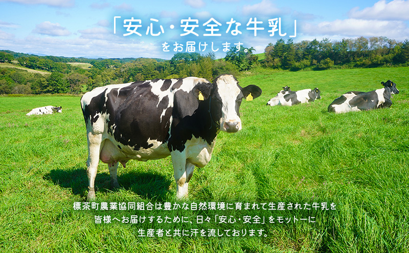 【3カ月定期便】北海道　しべちゃ牛乳（1000ml）×6本