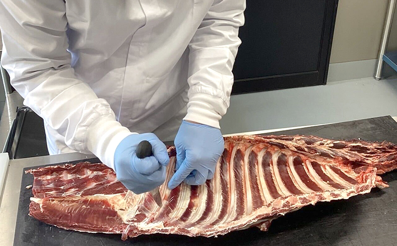 北海道 標茶町産 エゾ 鹿肉 骨付きかた肉 約4kg