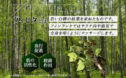 2025年 7月以降順次発送 1510. フレッシュ 白樺 ヴィヒタ 1束 北海道 白樺 ヴィヒタ アロマ ウィスク インテリア サウナグッズ サウナ テントサウナ 北海道 弟子屈町 10000円