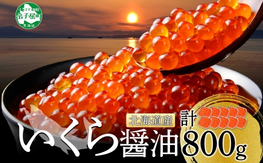 年内配送 12月15日まで受付 2922. いくら醤油漬け 80g×10個 いくら イクラ 魚卵 魚介 海鮮 送料無料 北海道 弟子屈町