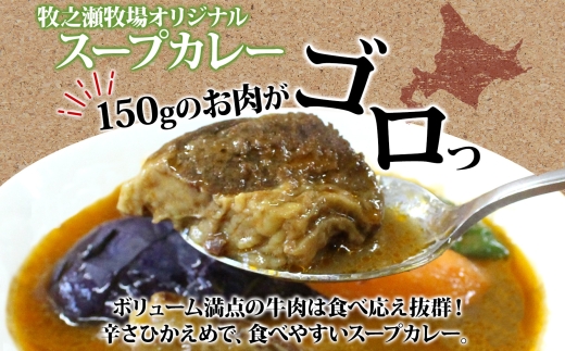 3022. ビーフ スープカレー 300g 4箱 カレー ビーフカレー スープ 牛 牛肉 放牧牛 牧場 レトルトカレー レトルト食品 レトルト 湯煎 レンジ 牧之瀬牧場 送料無料 北海道 弟子屈町