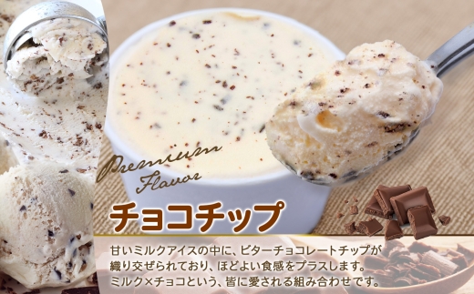 2347. 無地熨斗 くりーむ童話 カップアイス チョコチップ 100ml×6個 アイスクリーム アイス スイーツ 牛乳 ミルク 贈り物 gift ギフト プレゼント 詰め合わせ 送料無料 北海道 弟子屈町