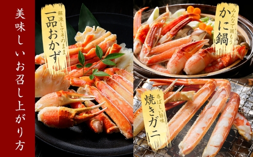 2549. ズワイガニ足 800g ＆ いくら 80g×2個 セット 蟹 海鮮 イクラ 食べ方ガイド・専用ハサミ付 カニ かに 送料無料 期間限定 数量限定 北海道 弟子屈町