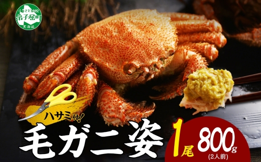 2986. ボイル毛蟹姿 800g 食べ方ガイド・専用ハサミ付 カニ かに 送料無料 北海道 弟子屈町