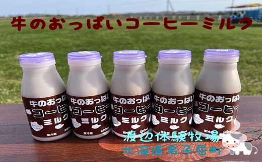 1852.牛のおっぱいコーヒーミルク５本セット