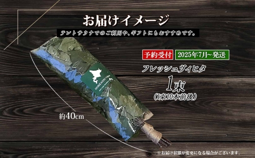 2025年 7月以降順次発送 1510. フレッシュ 白樺 ヴィヒタ 1束 北海道 白樺 ヴィヒタ アロマ ウィスク インテリア サウナグッズ サウナ テントサウナ 北海道 弟子屈町 10000円