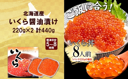 2993. いくら醤油漬け 220g×2個 いくら醤油 イクラ しょうゆ漬け いくら イクラ 醤油 海鮮 魚介 いくら丼 鮭 魚卵 贈答 ギフト 送料無料 北海道 弟子屈町