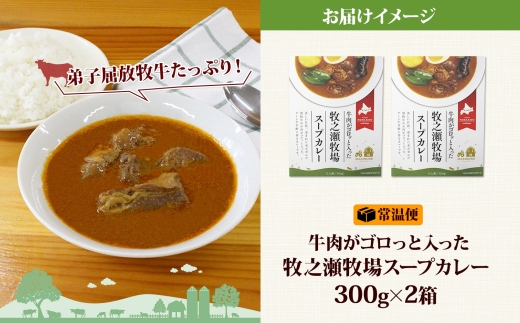 3021. ビーフ スープカレー 300g 2箱 カレー ビーフカレー スープ 牛 牛肉 放牧牛 牧場 レトルトカレー レトルト食品 レトルト 湯煎 レンジ 牧之瀬牧場 送料無料 北海道 弟子屈町