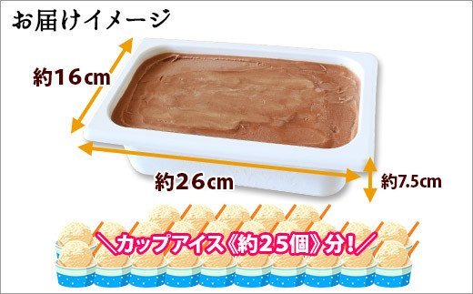 597.アイスクリーム チョコレート チョコ ジェラート 業務用 2リットル 2L アイス 大容量 手作り 北海道 弟子屈町