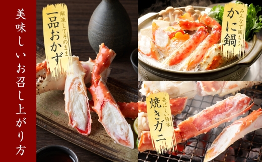 3093. タラバガニ足 4L 800g ＆ いくら80g×2個 ＆ ホタテ300g セット たらば 蟹 海鮮 イクラ 食べ方ガイド・専用ハサミ付 カニ かに ほたて 送料無料 北海道 弟子屈町