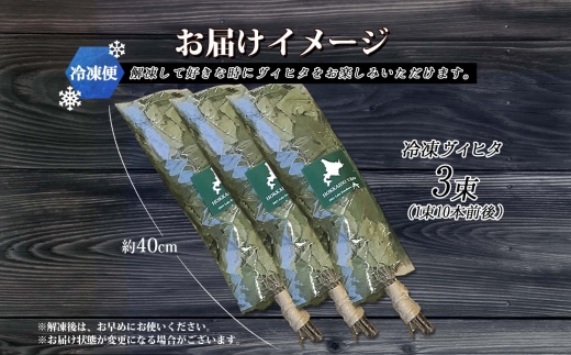 1604. フレッシュ 冷凍 白樺 ヴィヒタ 3束 サウナ テントサウナ