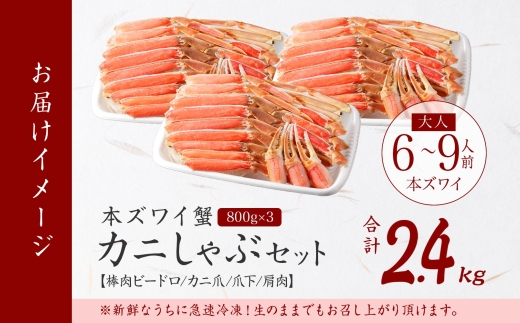 2996.ズワイ蟹しゃぶ ビードロ 800g前後 3個 セット 食べ方ガイド付 生食 生食可 約6-9人前 ズワイガニ ズワイ蟹 カニ かに 蟹 海鮮 鍋 しゃぶしゃぶ 送料無料 北海道 弟子屈町