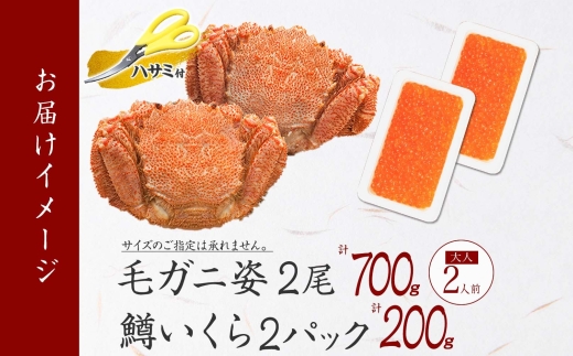 2457. 毛蟹 2尾 計700g前後 鱒いくら醤油漬け 200g 専用ハサミ・食べ方ガイド付き 毛ガニ 毛がに 蟹 カニ  鱒いくら いくら 醤油漬け ボイル 北海道 弟子屈町