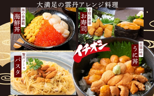 2134. 無地熨斗 ウニ チリ産 冷凍 うに 海鮮 ウニ 200g 4人前 雲丹 丼 海鮮 丼 セット うに 熨斗 のし 名入れ不可 送料無料 北海道 弟子屈町