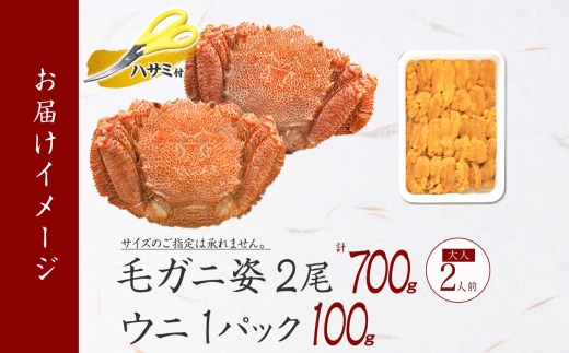 2460. 毛蟹 2尾 計700g前後 うに チリ産 冷凍 100g 専用ハサミ・食べ方ガイド付き 毛ガニ 毛がに 蟹 カニ かに 蟹肉 カニ味噌 ウニ 雲丹 海鮮 ボイル 北海道 弟子屈町