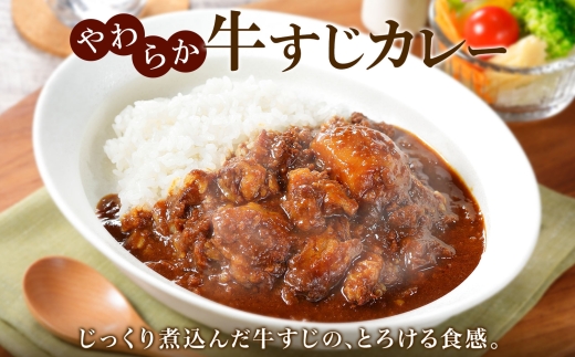 778.牛すじカレー 5個 中辛 じゃがいも 牛 牛肉 肉 業務用 レトルトカレー 保存食 備蓄 まとめ買い 北海道 弟子屈町