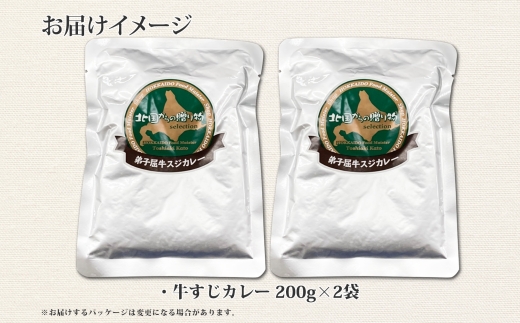 777.牛すじカレー 2個 中辛 じゃがいも 牛 牛肉 肉 業務用 レトルトカレー 保存食 備蓄 まとめ買い 北海道 弟子屈町