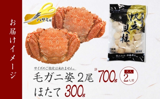 2459. 毛蟹 2尾 計700g前後 ホタテ 300g 専用ハサミ・食べ方ガイド付き 毛ガニ 毛がに 蟹 カニ カニ味噌 ほたて 帆立 貝柱 海鮮 ボイル 北海道 弟子屈町