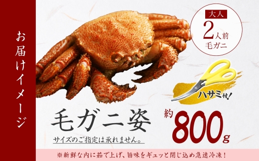 2986. ボイル毛蟹姿 800g 食べ方ガイド・専用ハサミ付 カニ かに 送料無料 北海道 弟子屈町