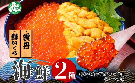 3009. 2種 海鮮丼 鱒 いくら醤油漬け 100g×5 約5-6人前 ウニ チリ産 雲丹 うに 100g×2 セット いくら イクラ いくら醤油 魚卵 ます マス 海鮮 送料無料 北海道 弟子屈町