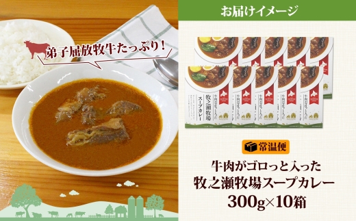 3023. ビーフ スープカレー 300g 10箱 カレー ビーフカレー スープ 牛 牛肉 放牧牛 牧場 レトルトカレー レトルト食品 レトルト 湯煎 レンジ 牧之瀬牧場 送料無料 北海道 弟子屈町