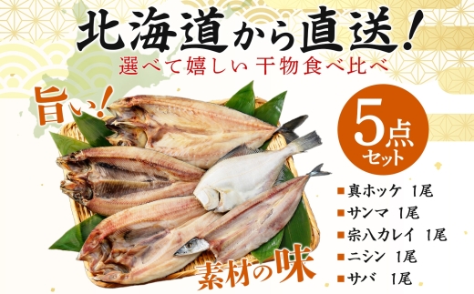 2522. ふっくらやわらか 干物 5点セット 魚介 海鮮 送料無料 北海道 弟子屈町