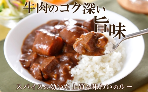 470.ビーフカレー 5個 セット 中辛 牛肉 業務用 レトルトカレー 備蓄 まとめ買い 北海道 弟子屈町