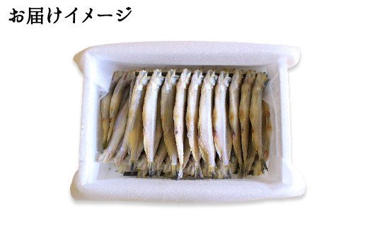 1241 北海道産 ししゃも 雌雄 食べ比べ セット 40尾 シシャモ 海鮮 魚介 送料無料 加藤水産 北国からの贈り物 弟子屈町 ふるさとパレット 東急グループのふるさと納税