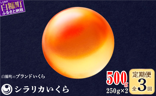 年3回お届け定期便 シラリカいくら（生いくら）【500g(250g×2)】