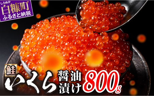 醤油漬鮭いくら【800g（200g×2パック×2箱）】