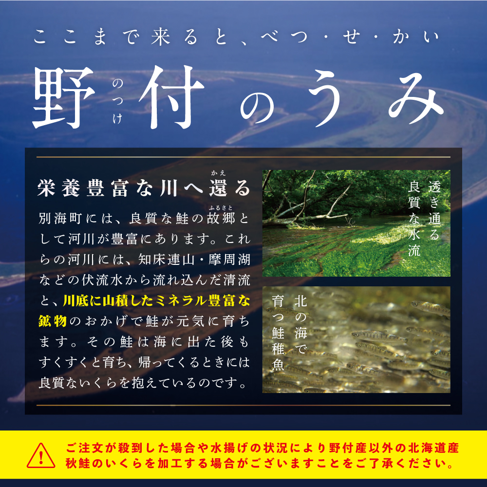 いくら！漁協 直送！本場「北海道」 いくら 醤油漬け 750g！【NK0003NQ5】( いくら いくら醤油漬け いくら醤油漬 醤油いくら 鮭いくら 国産いくら 北海道産いくら 地場産いくら 道産いくら 別海町 ふるさと納税 ふるさと ikura お届け）