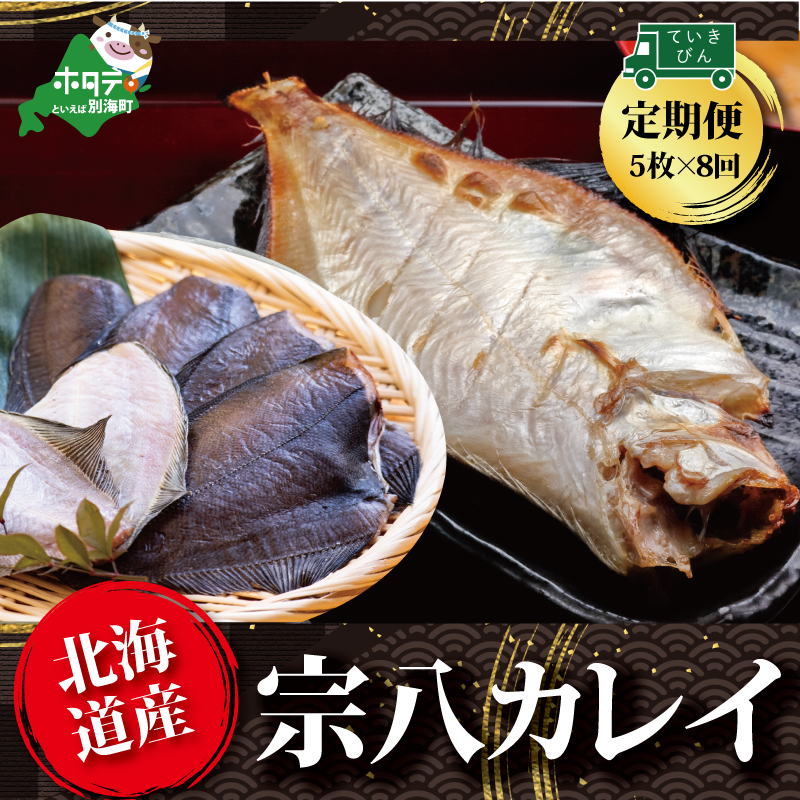 【定期便】北海道産 一夜干し 宗八カレイ 5枚 × 8ヵ月 【全8回】